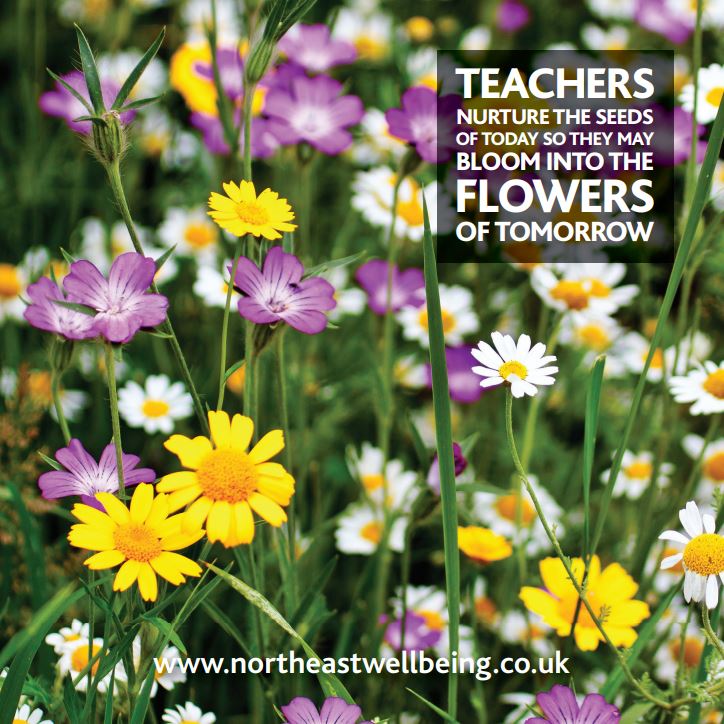 WellbeingNorth's tweet photo. Which of you lucky people have received their wildflower seeds with our lovely postcard? And even, better, who has planted them in their school grounds...? We'd love to hear from you! https://t.co/H4scTP1Dlr