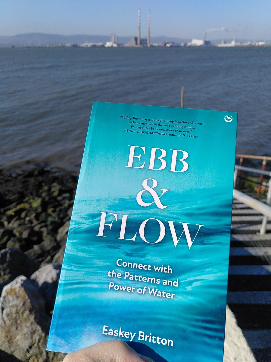 Just finished reading this incredible book by @easkeysurf  in one of my watery homes #bullisland #ebbandflowbook #bluemind #seaswimming #selkie #belongingtothesea #dúchasnamara 💙🌊