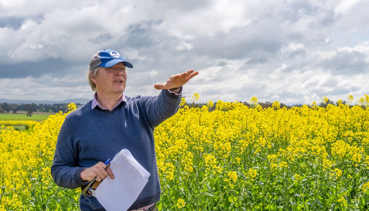 theGRDC's tweet image. Farming systems experiments have confirmed the value of using a ‘double-break’ crop sequence to help drive down the population of weeds and disease pathogens in crops.

Read more: bit.ly/3mKUcPl

📷 Nicole Baxter/GRDC

#GroundCoverOnline #CropProtection #DoubleBreak