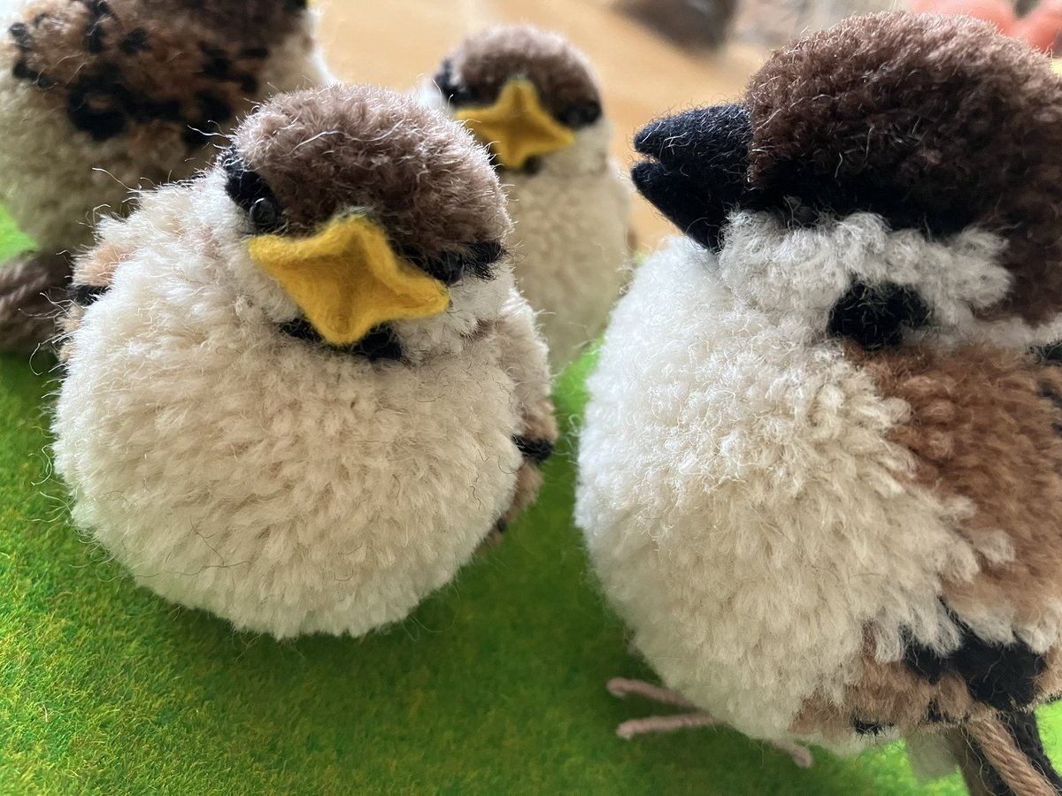 hiinari's tweet photo. スズメの親子＾＾ https://t.co/PEAo4Cl7NN