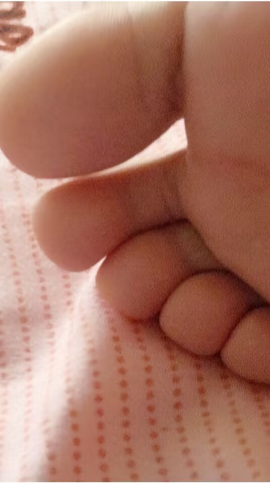 搁浅的沙丁鱼 tweet media