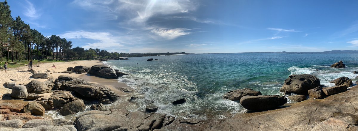 strandings_man's tweet image. In beautiful O Grove for #ECSconference2023- lovely to see old friends again and meet new ones too. Great talks in the Health session yesterday by Yara Bernaldo de Quirós @Mar_tDoeschate @RebeccaMBoys and others, last sessions today... Fab job by organisers this year, thanks all!