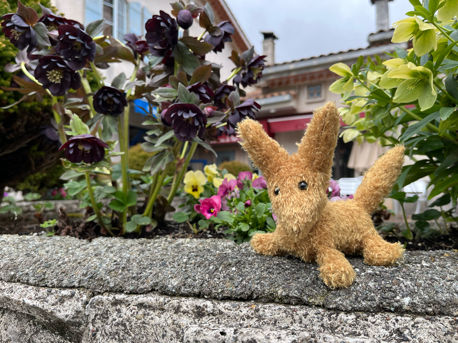 きつねさん、思い出の一枚。
もうこの場所は存在しないのですよね。
きつねさんは目の前におります。（かわいい） https://t.co/pGzfWsgWTV