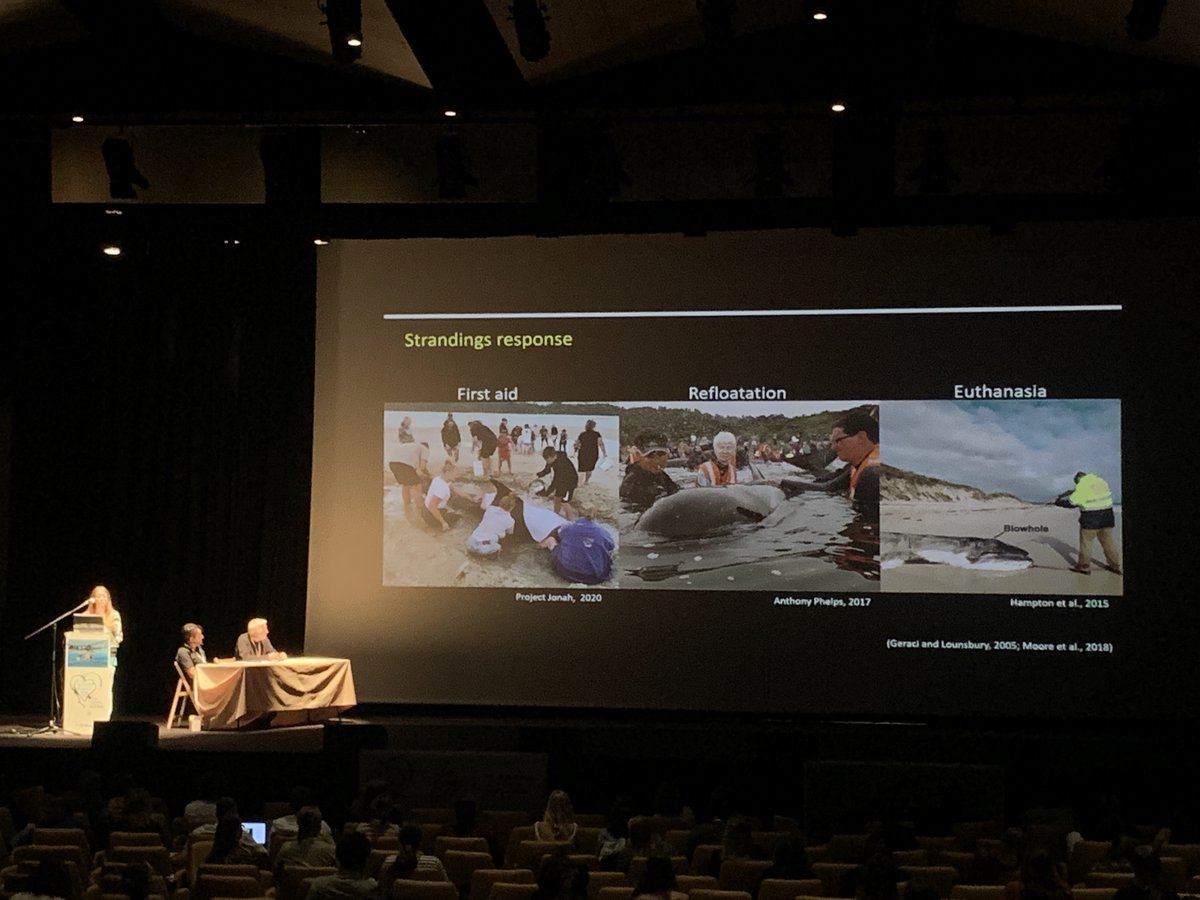 strandings_man's tweet image. In beautiful O Grove for #ECSconference2023- lovely to see old friends again and meet new ones too. Great talks in the Health session yesterday by Yara Bernaldo de Quirós @Mar_tDoeschate @RebeccaMBoys and others, last sessions today... Fab job by organisers this year, thanks all!