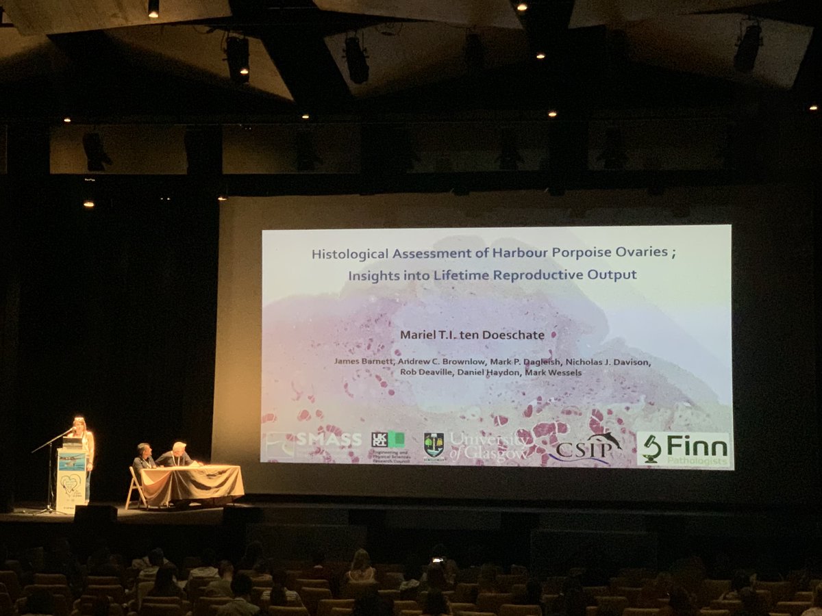 strandings_man's tweet image. In beautiful O Grove for #ECSconference2023- lovely to see old friends again and meet new ones too. Great talks in the Health session yesterday by Yara Bernaldo de Quirós @Mar_tDoeschate @RebeccaMBoys and others, last sessions today... Fab job by organisers this year, thanks all!