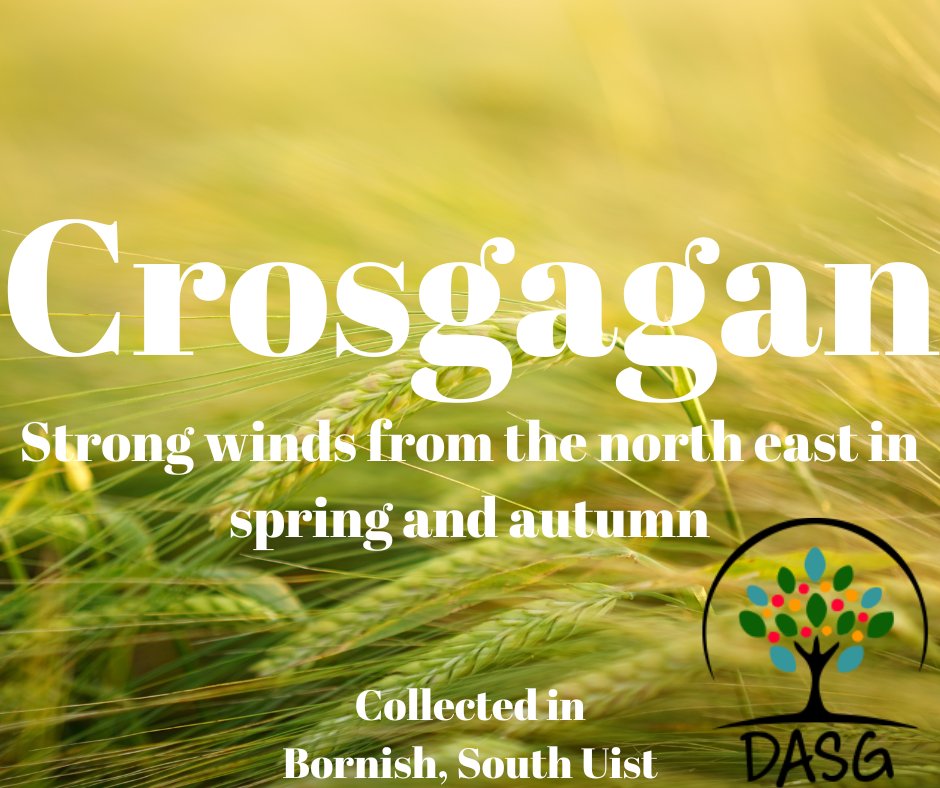 DASG_Glaschu's tweet photo. https://t.co/N2u18tJr9S
🌅
CROSGAGAN - STRONG WINDS FROM THE NORTH EAST IN SPRING AND AUTUMN
🌱
#Crosgagan #Gaoth #Wind #Aimsir #Sìde #Earrach #Spring #BliadhnaGhàidhealach
🌊
#UibhistADeas
#Alba #Scotland
#Gàidhlig #Gaelic #ScottishGaelic
#DigitalArchiveofScottishGaelic #DASG https://t.co/aks7ffbvn1