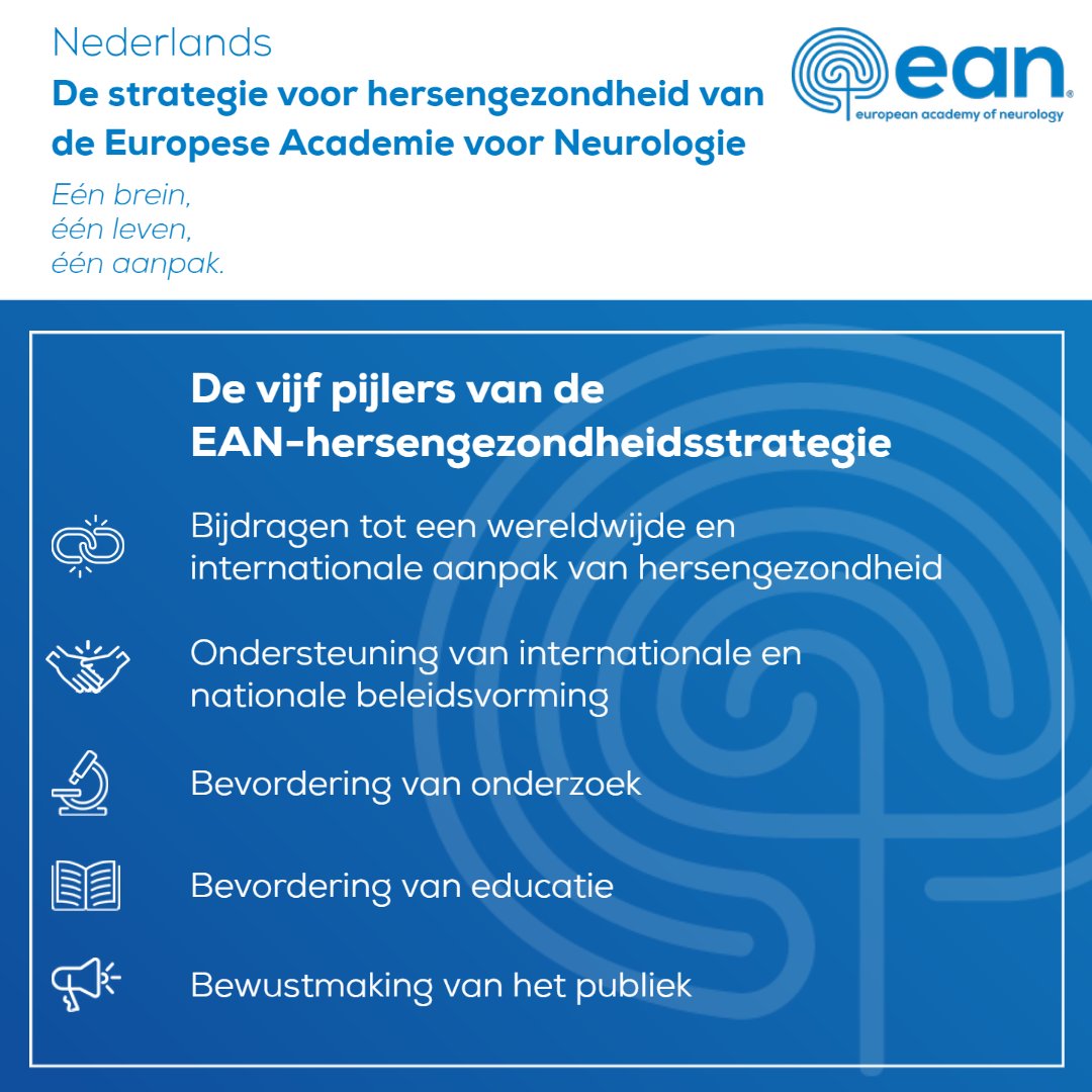 EANeurology's tweet photo. Just a reminder that we have our Brain Health Strategy paper available in several languages in addition to English! Today we are featuring #magyar, #limbaromână and #Nederlands!
👉https://t.co/4fW1rJntFk
#BrianHealth #BrainResearch #neurology https://t.co/f1zoppDYfm