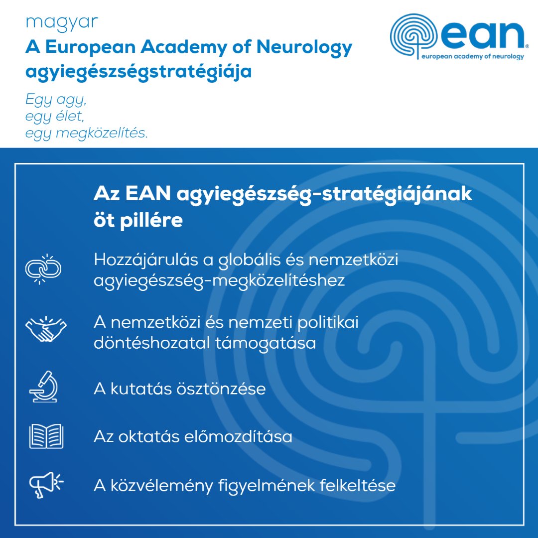 EANeurology's tweet photo. Just a reminder that we have our Brain Health Strategy paper available in several languages in addition to English! Today we are featuring #magyar, #limbaromână and #Nederlands!
👉https://t.co/4fW1rJntFk
#BrianHealth #BrainResearch #neurology https://t.co/f1zoppDYfm