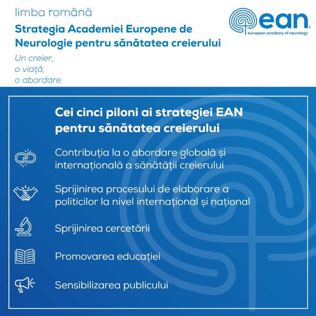EANeurology's tweet photo. Just a reminder that we have our Brain Health Strategy paper available in several languages in addition to English! Today we are featuring #magyar, #limbaromână and #Nederlands!
👉https://t.co/4fW1rJntFk
#BrianHealth #BrainResearch #neurology https://t.co/f1zoppDYfm