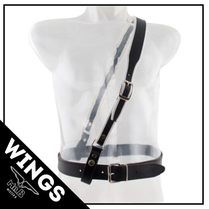 WINGS is doing a weekly dive into Mister B’s huge collection of gear and toys to uncover little treasures