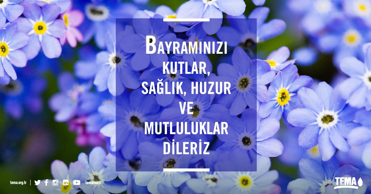 TEMA Vakfı (@temavakfi) on Twitter photo 