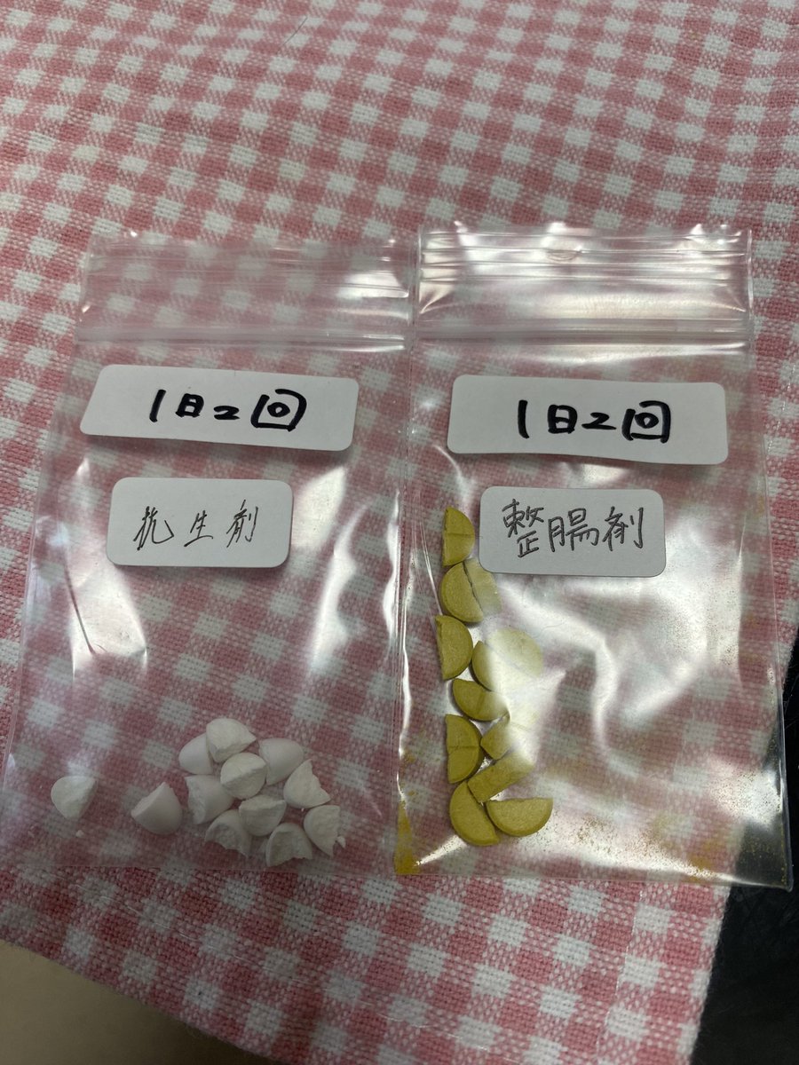Mer_704's tweet photo. 軟便酷すぎて処方してもらったけど食べてくれない💦 https://t.co/AHS1j0RXUQ