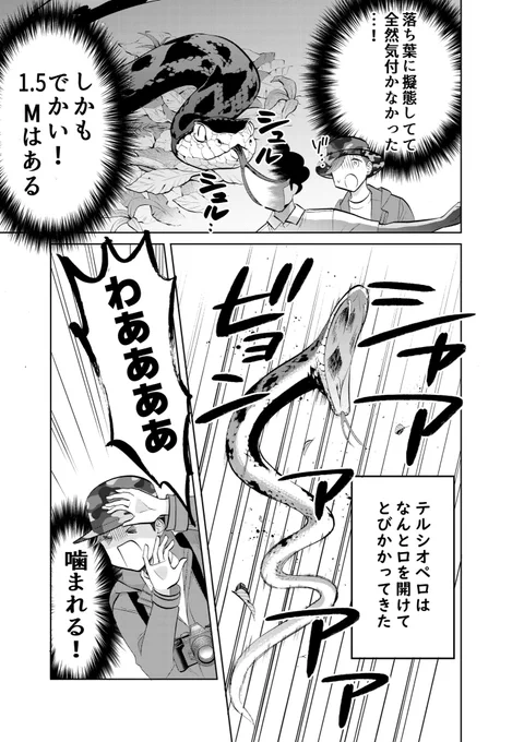 (3/4) 