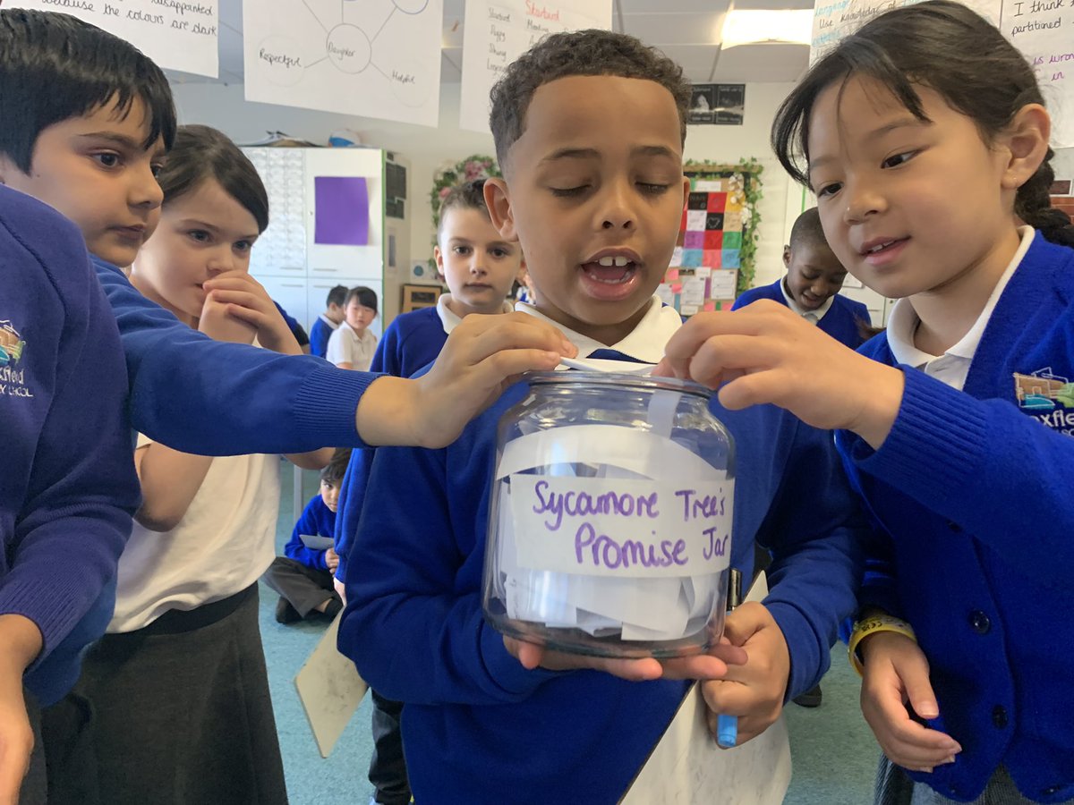 Sycamore Tree Class tweet media