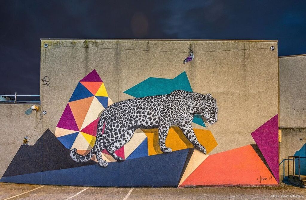 #Streetart by #HamaWoods @hamawoods in #Aberdeen, UK, for #NuartAberdeen <a href="/nuartaberdeen/">Nuart Aberdeen</a>
Photo by <a href="/bktallman/">BK</a>
More info at: ift.tt/T9LXPtp
Via @cultureforfreedom @barbarapicci
 instagr.am/p/CrQESfiIrQz/