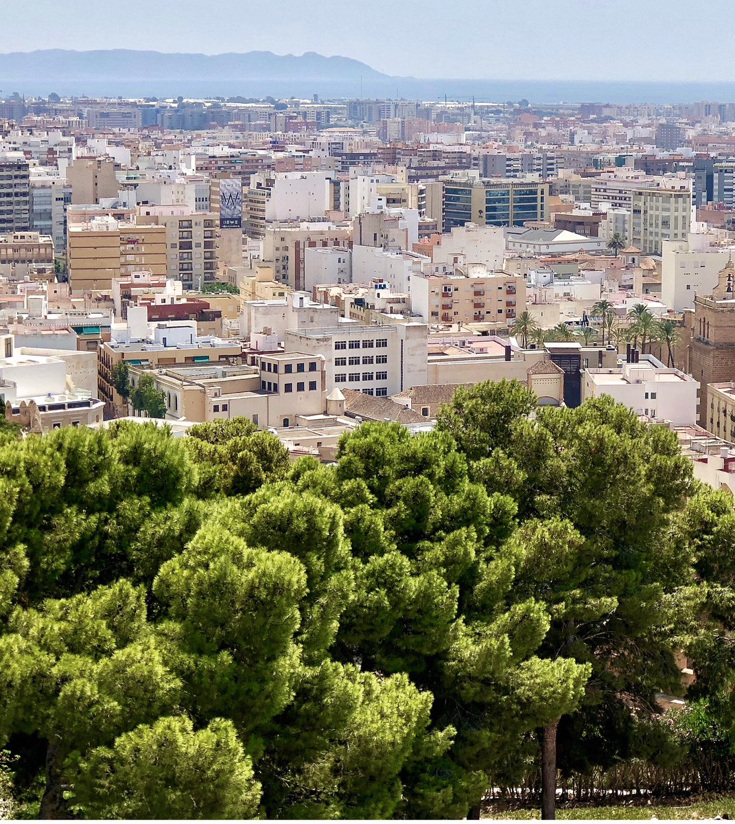 lizzie_hubbard2's tweet photo. Today’s #ThrowbackThursday pics are views taken from the Parque de Castilla in #Almeria in Spain’s #Andulusia region🇪🇸
#Spain #Espana #espanol #ALCAZAR
Have a good day all🐝🌻#Thursday #thursdaymorning #Travel https://t.co/y2LfCIKhZ2