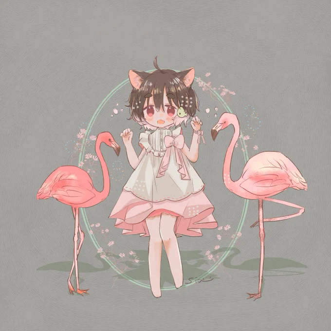 ❁୨୧⑅**⑅ ୨୧❁flamingo 