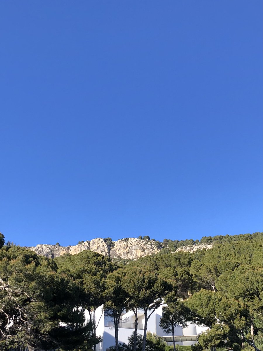 bielferrer111's tweet photo. CelBlau https://t.co/Z4obnptohd