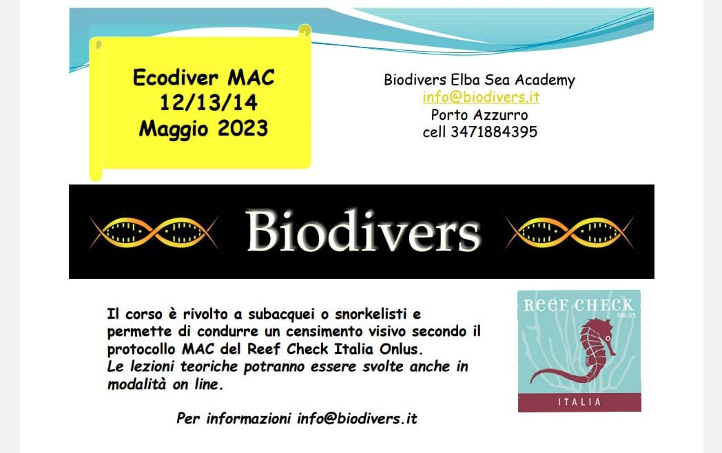 ReefCheckItalia's tweet photo. Mentre aspettiamo l'arrivo dell'estate che ne dite di partecipare ad un corso EcoDiver MAC all'Isola d'Elba presso Biodivers Elba Sea Academy?! Non esitate a contattare i nostri trainer Chiara e Pier per maggiori informazioni!
#PortoAzzurro #Ecodiver https://t.co/OFy8aBmTMJ