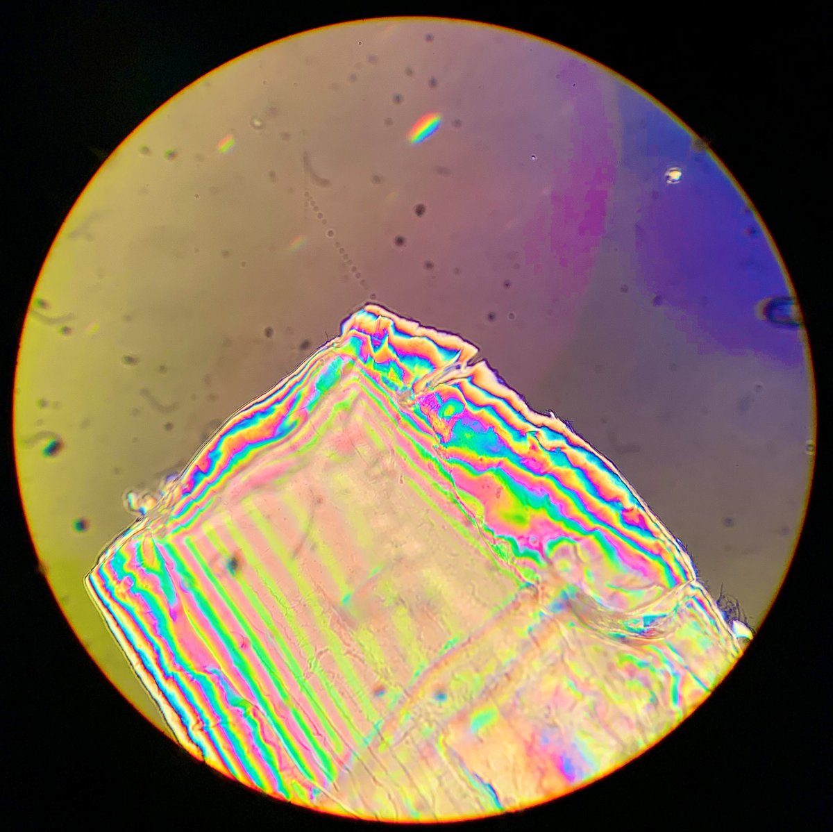 Dr Liam Rooney tweet media