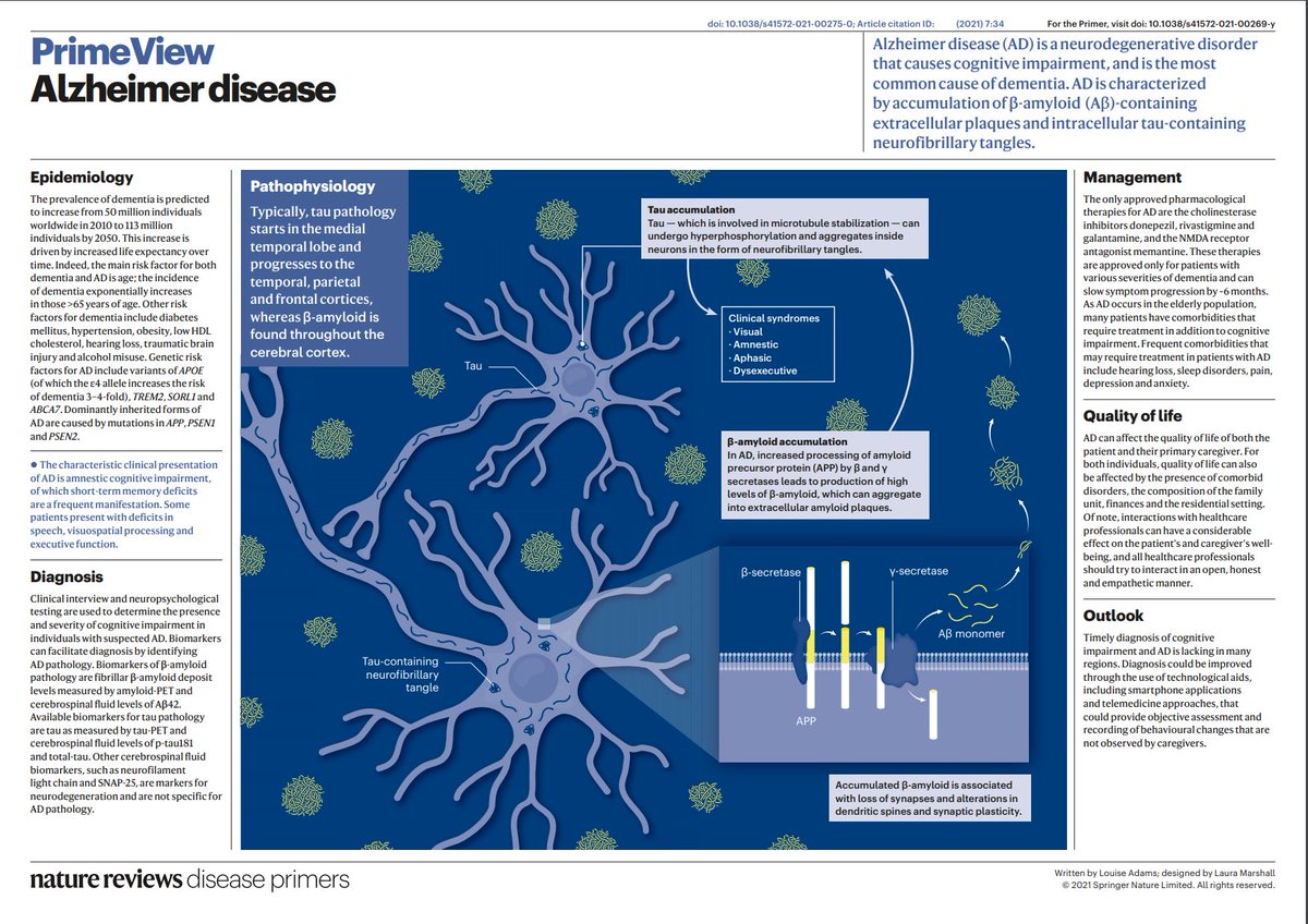 DiseasePrimers's tweet photo. #Alzheimer disease is a neurodegenerative disorder that manifests as cognitive impairment.

https://t.co/Px7thCWOTn https://t.co/yreVwvKUhn