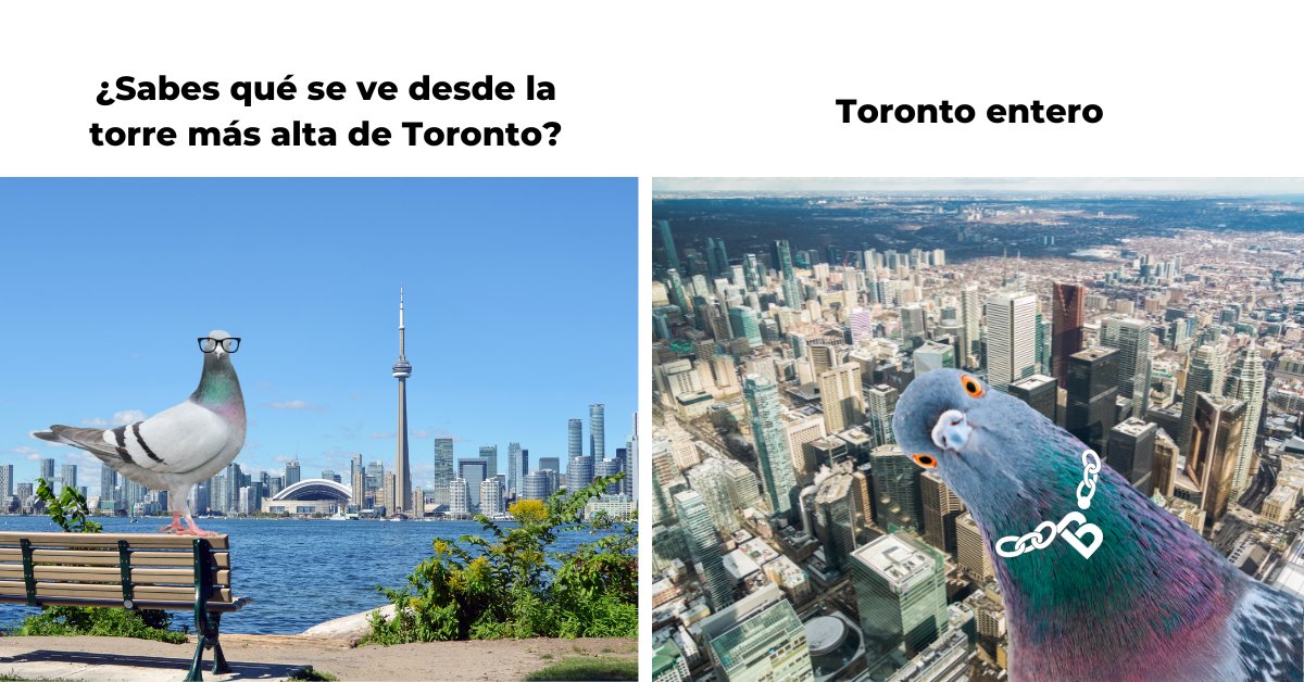 <a href="/bthetravelbrand/">B travel</a> Toronto entero 🎶