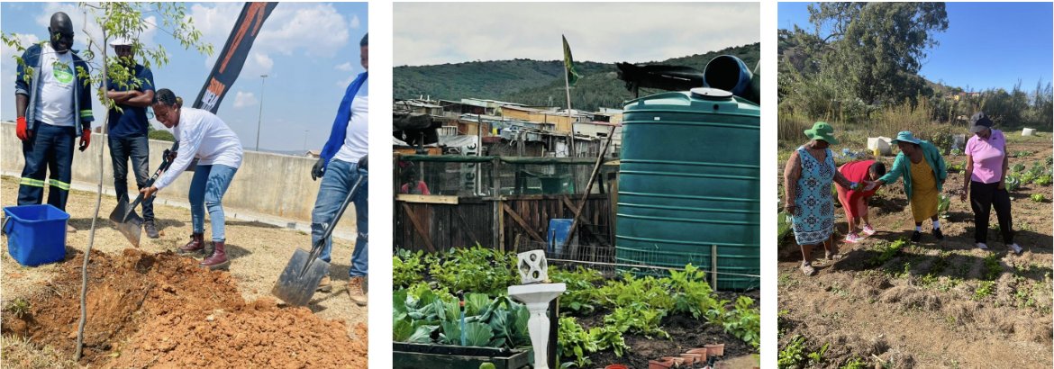Mandela Day (@mandeladay) on Twitter photo There are three things that will happen through our actions this #MandelaDay:
- we will be combating climate change,
- we will be beautifying and greening our environments and
- we will be providing nutrition - <a href="/GushwellBrooks/">Gushwell Brooks</a>
#Mandela10 There are three things that will happen through our actions this #MandelaDay:
- we will be combating climate change,
- we will be beautifying and greening our environments and
- we will be providing nutrition - <a href="/GushwellBrooks/">Gushwell Brooks</a>
#Mandela10