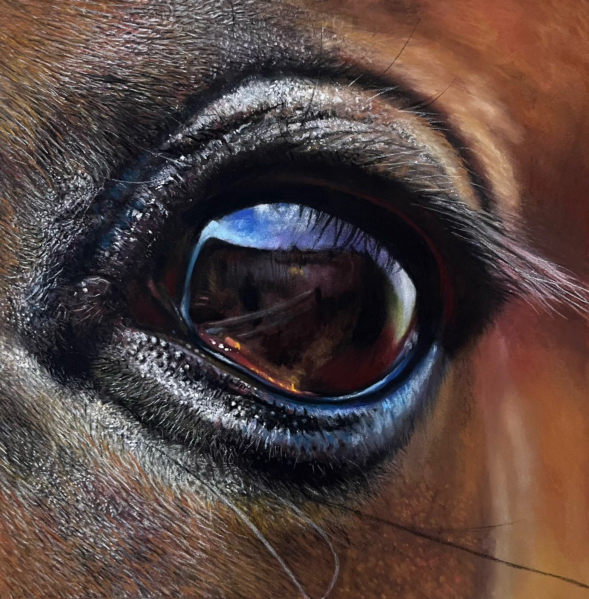 8 hours of dots and lines. Pastel pencil and soft pastel on 6'x6' pastelmat. hope everyones enjoying  the sun.🙂
#art #artist #artworks #horse #eyeart #eyeartist #realismart #sketches #sketch #drawing #draw #paint #fabercastell #pencildraw #pencilsketches #arttime #arteveryday