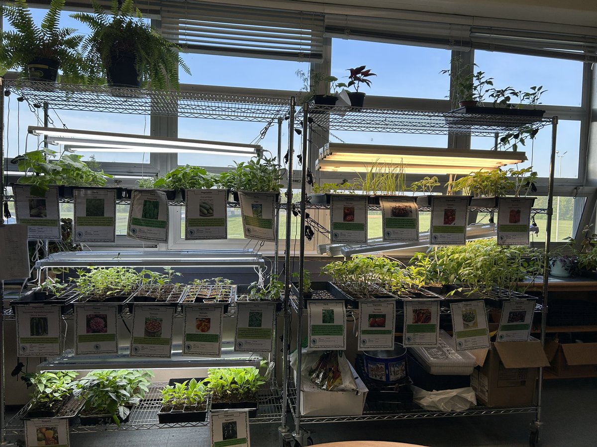 Sam Fulcher tweet media