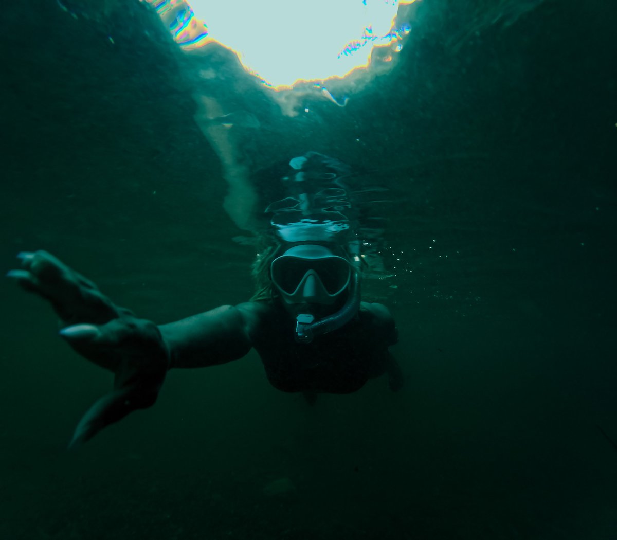 jew7roc's tweet photo. Diving into the depths of Rosehill River, where the real magic happens! 💦🌊📸
@cressi946

#UnderwaterMagic #DiveDeep #MermaidVibes https://t.co/l7adbpFZ2O