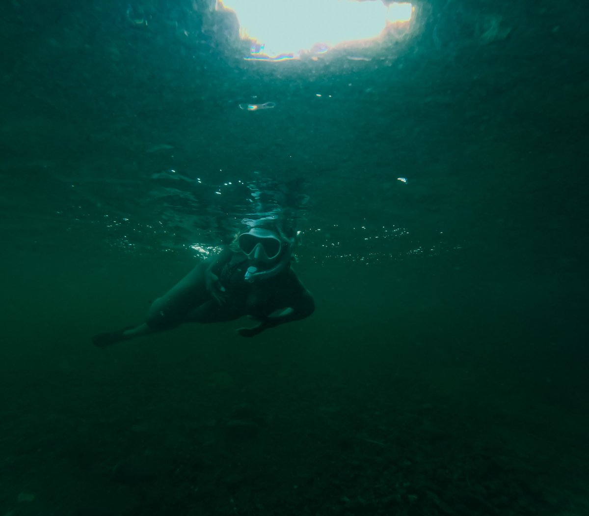 jew7roc's tweet photo. Diving into the depths of Rosehill River, where the real magic happens! 💦🌊📸
@cressi946

#UnderwaterMagic #DiveDeep #MermaidVibes https://t.co/l7adbpFZ2O