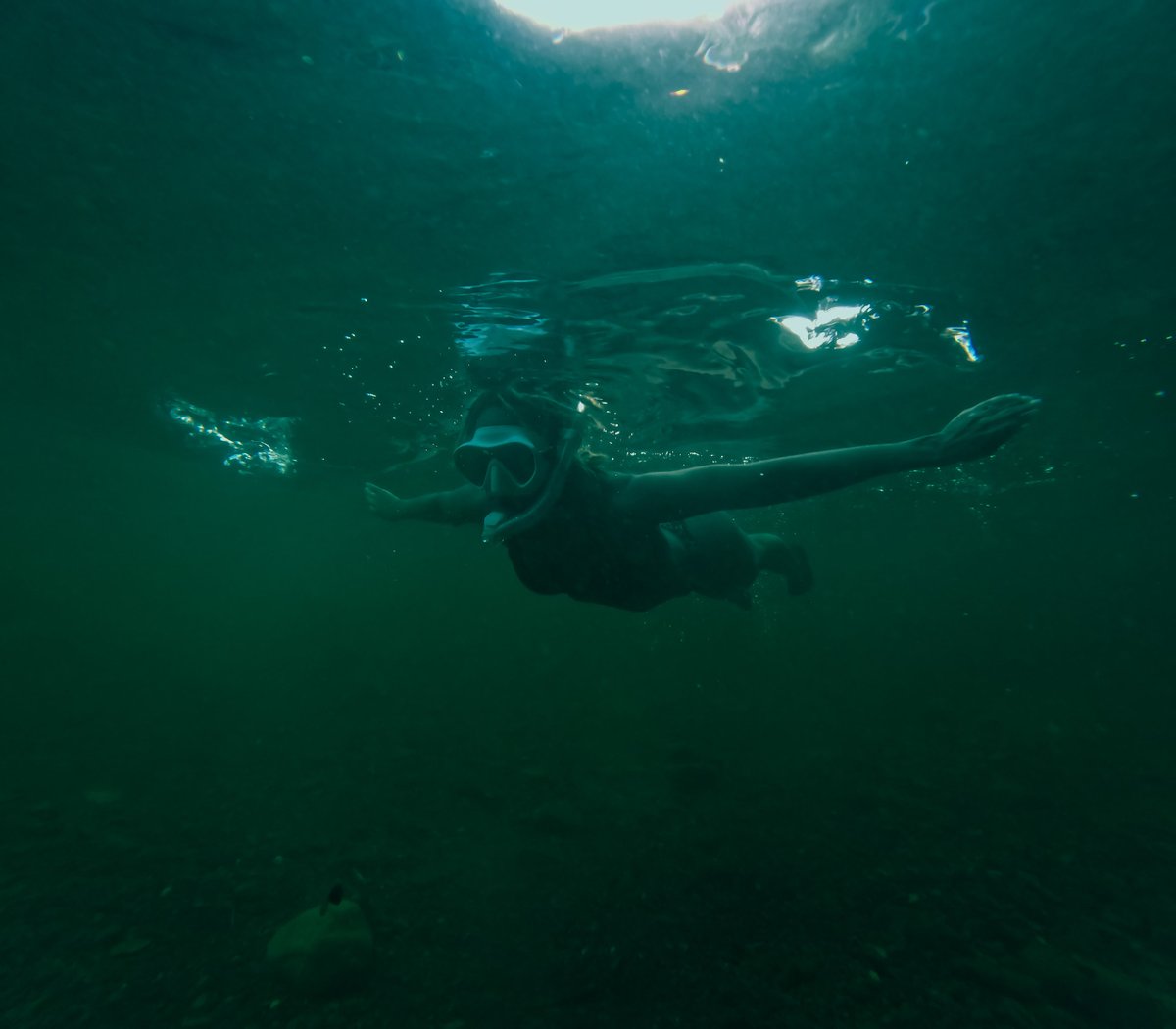 jew7roc's tweet photo. Diving into the depths of Rosehill River, where the real magic happens! 💦🌊📸
@cressi946

#UnderwaterMagic #DiveDeep #MermaidVibes https://t.co/l7adbpFZ2O