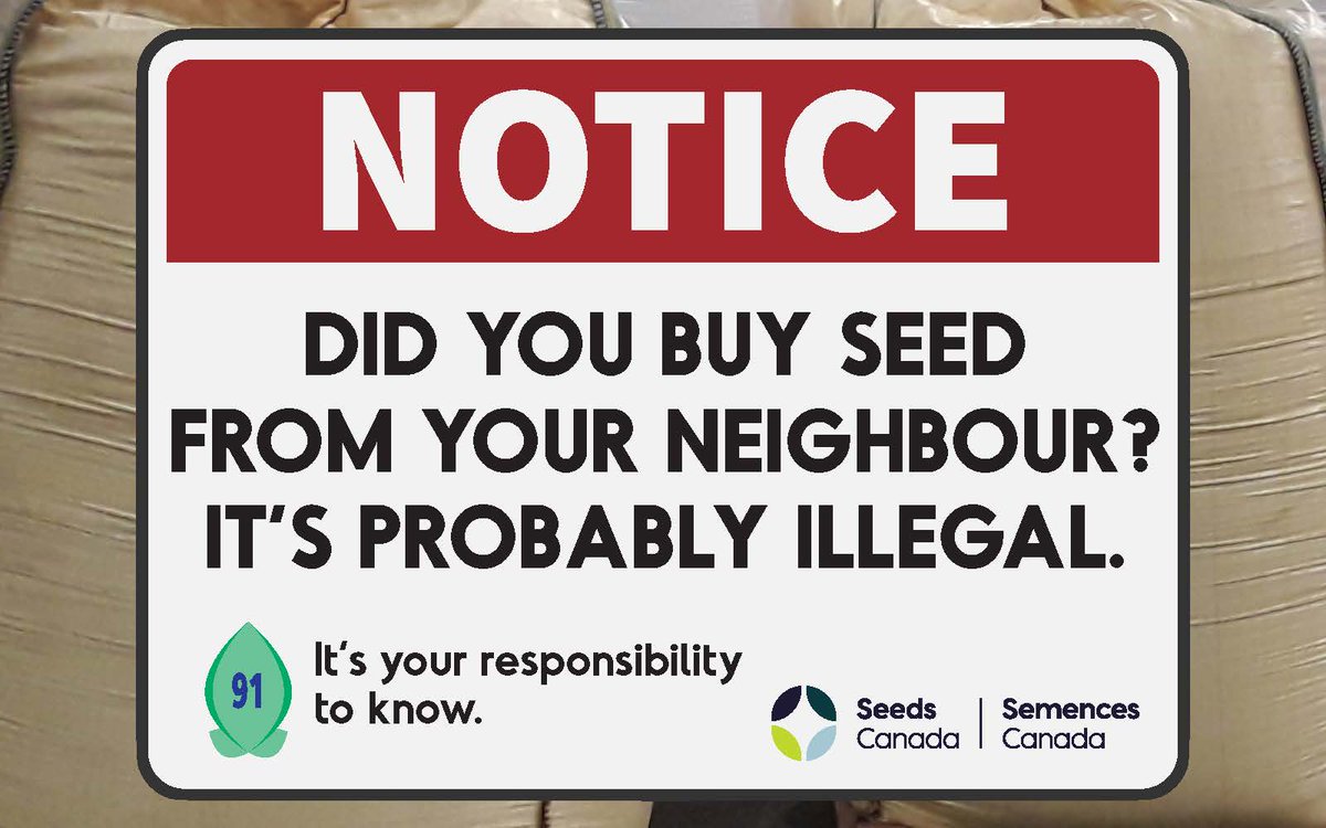 Stay within the law and buy Certified Seed. It’s against the law to buy brown-bag seed of a PBR91 protected variety. ow.ly/kJ6M50NJrqm