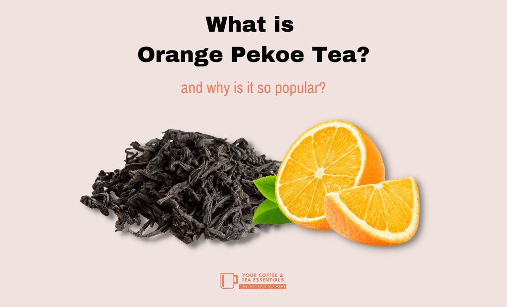 your_coffee_tea's tweet image. Is it orange-flavored tea? And if so, what is the "Pekoe" part? If not, then what the heck is it? Learn more about this tea, link below 👇

yourcoffeeandtea.com/what-is-orange…

#yourcoffeeandtea #teaforlife #teaforone #teabreak #thursdaytreat #orangepekoe #blacktea #greentea