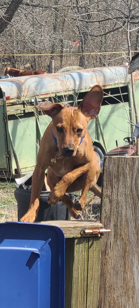 Kassi17's tweet image. Flying leap