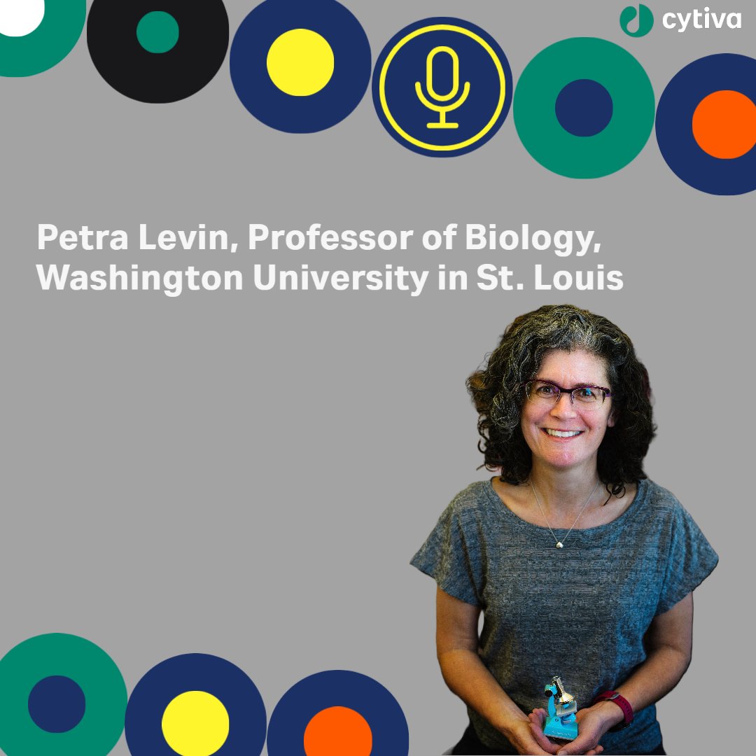 annaandwill's tweet image. We should never underestimate cells. Dr Brett Kagan shares how he taught brain cells to play ‘Pong’, while Professor Petra Levin and Kunaal Joshi discuss how their research undermines the concept of an ‘average’ cell. ms.spr.ly/6018gMgiu

#neurology
#scientificresearch
#cells