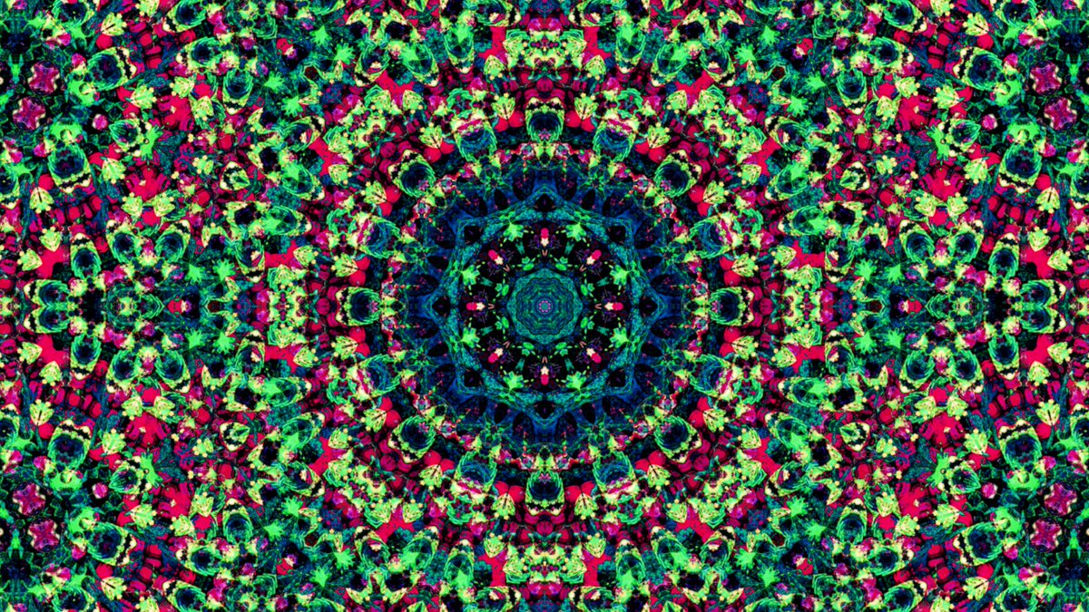 TheMightyBattleSquid tweet media