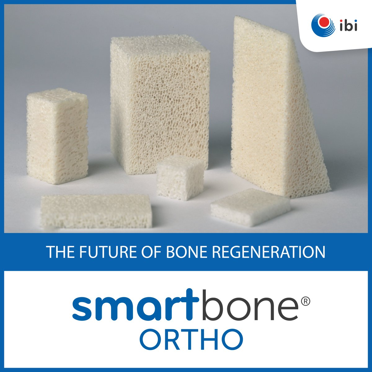 smartboneibi's tweet image. Say goodbye to traditional #bone #grafts with #SmartBone #Ortho - the revolutionary bone graft substitute that supports the growth of new bone tissue for a natural, fully-integrated result!

Visit ibi-sa.com/products/smart… for more information!

#SmartBoneOrtho #BoneRegeneration