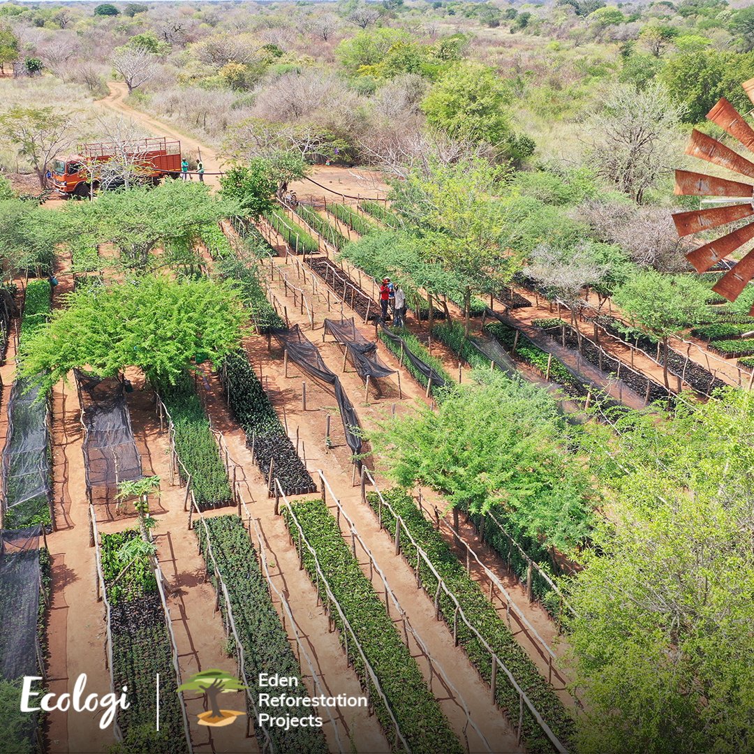 TionGlobal's tweet photo. Ah, the satisfying sound of #TreePlanting from Madagascar to Mozambique 🌍

We're delighted to announce that our green-themed efforts have contributed to reducing over 56 tonnes in carbon emissions and planting over 17,000 trees with @Ecologi_hq!

#Sustainability #CarbonReduction https://t.co/QVfPIoPgLZ