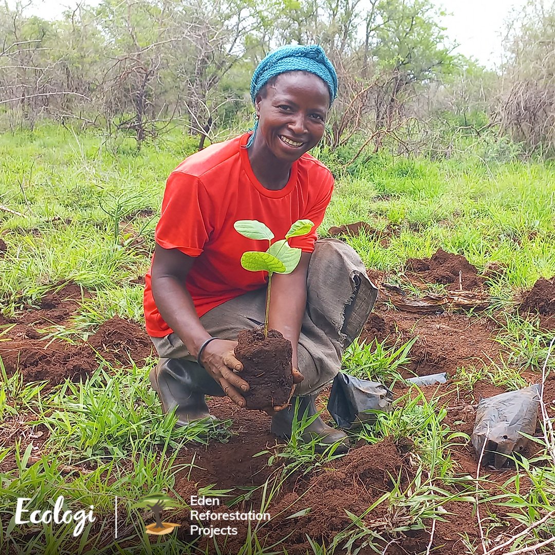TionGlobal's tweet photo. Ah, the satisfying sound of #TreePlanting from Madagascar to Mozambique 🌍

We're delighted to announce that our green-themed efforts have contributed to reducing over 56 tonnes in carbon emissions and planting over 17,000 trees with @Ecologi_hq!

#Sustainability #CarbonReduction https://t.co/QVfPIoPgLZ