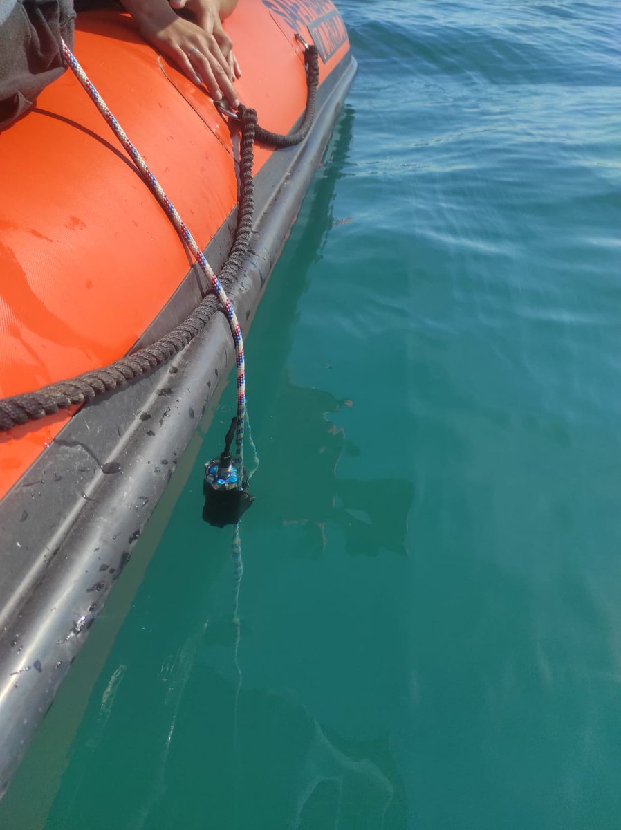 Time for underwater noise monitorig at #Peniche #kelpforest for @EEAGrantsPT Blueforests project with @MARE_centre @WavecOfficial @ESTM_IPL  @Lemos_lab