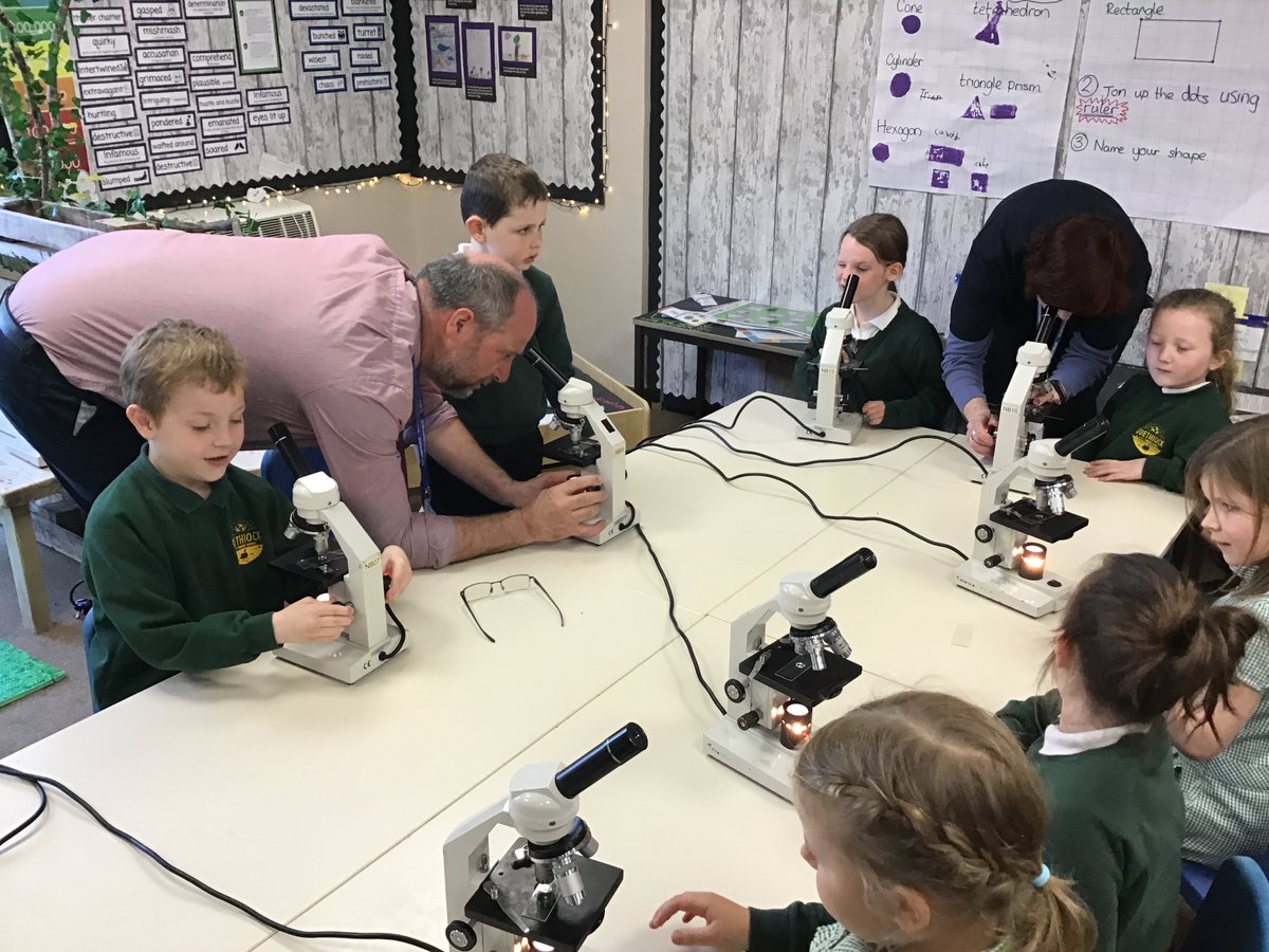 Quethiock CE School tweet media