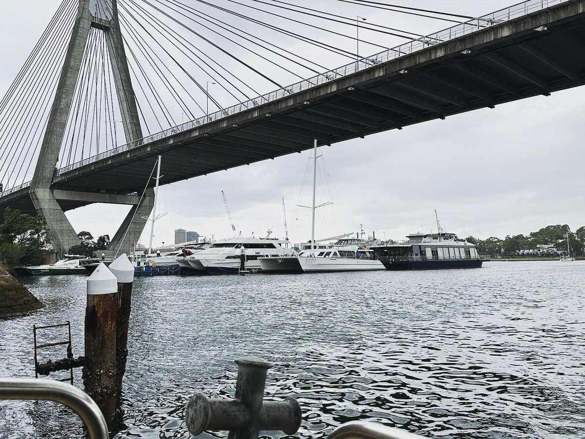 goneesy's tweet image. INSW work tour re development of Blackwattle Bay with 22 colleagues. Lunch at the Fish Markets and ferry back to Barangaroo. What a team!! #insw