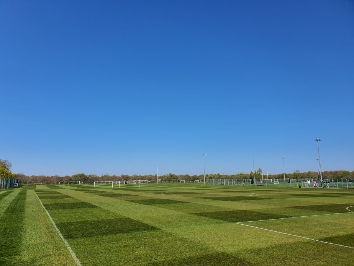 Whole site looking good in the sun