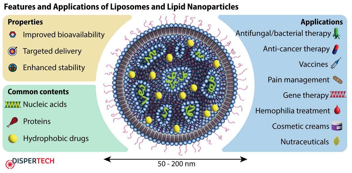 dispertech's tweet photo. Lipid nanoparticles, or #LNPs, have emerged as a promising platform in #nanomedicine, #drugdelivery, and #vaccines, with more developments to come. But what are LNPs?

(+ In thread) https://t.co/1qIV5dauaT