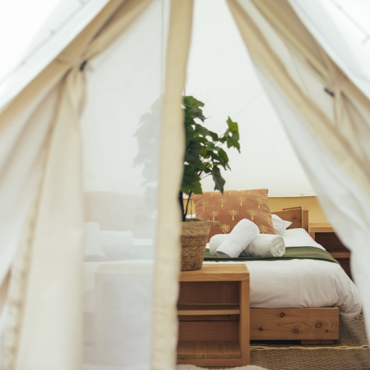POV: You’re so boujie your hangover gets its own deck 💅 

Our bell tents are booking up fast. You guys are feeling fancy this year. Get in quick if you want to nab one of the last ones. 

📅 92 days
🎫 Leopallooza.com