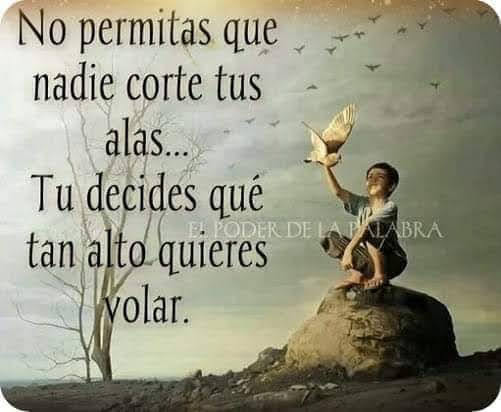 VidaEquilibrada (@vidaequilibrad4) on Twitter photo 