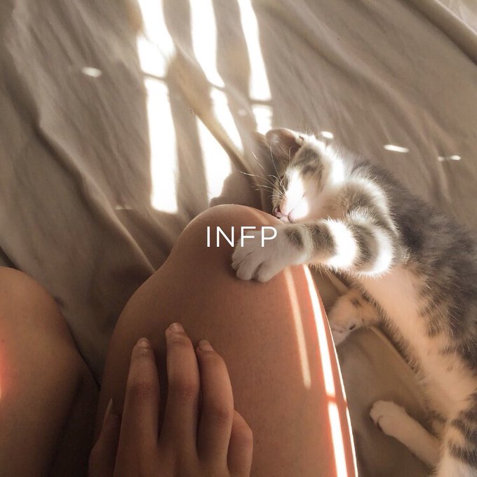 eevenyx (@eevenyx_) on Twitter photo 