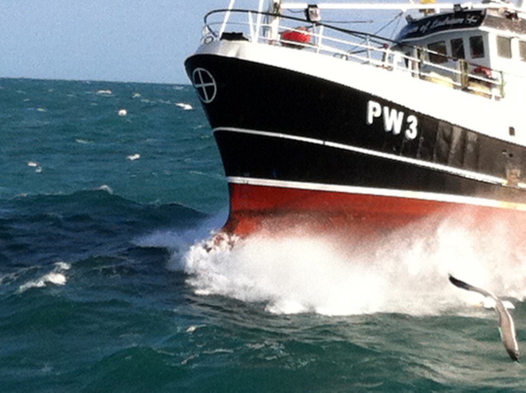 NewlynFishing tweet media