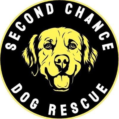 🧡FRIENDS of SECOND CHANCE🧡 For some time, we've run Friends of Second Chance on Facebook, now we are opening it up to Twitter followers PayPal: paypal.com/paypalme/Secon… BANK: Name: Second Chance Dog Rescue CIC Account Number: 53479449 Sort Code: 608371 ⬇️DETAILS IN PHOTOS ⬇️